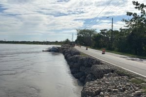 425783d9-1abe-44bc-9931-0b166eb705f0