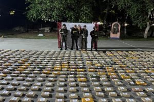 52256994-885c-4738-9739-6e9ba576f91d