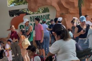 59947d7b-8d78-4756-9873-959c6388d266