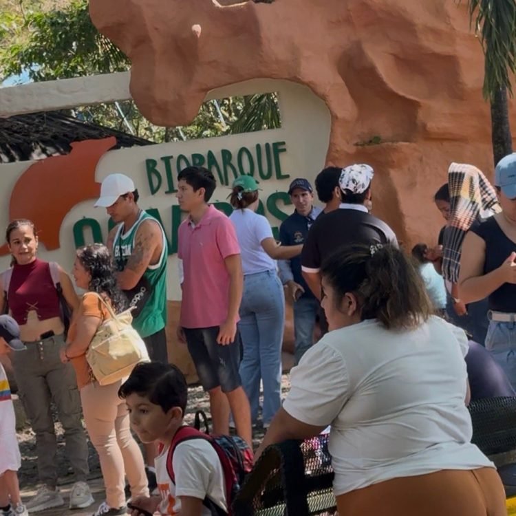 59947d7b-8d78-4756-9873-959c6388d266