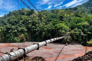 935a0236-c9cd-49f1-b0b6-668f3d2f0eb2