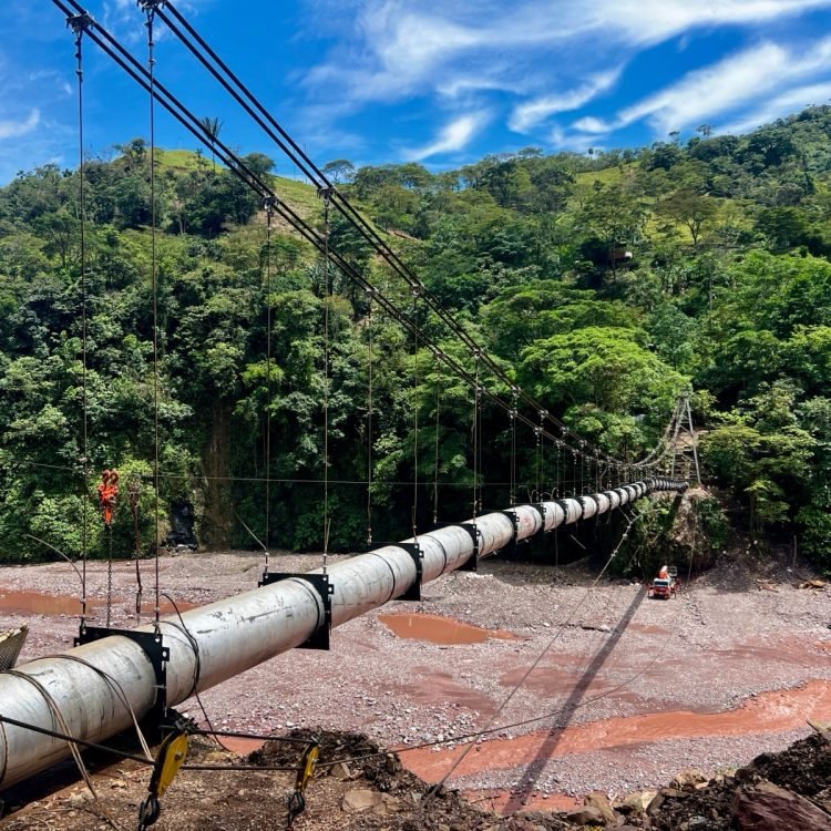 935a0236-c9cd-49f1-b0b6-668f3d2f0eb2