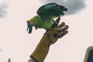 9a5d9526-1c0f-4e52-8130-0cb485b76563