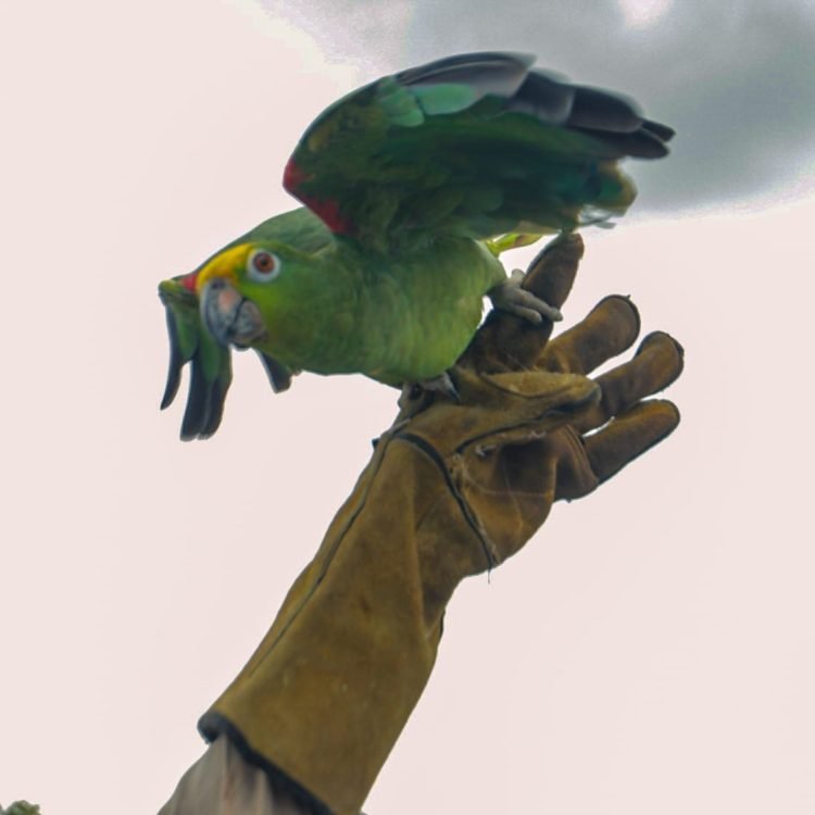 9a5d9526-1c0f-4e52-8130-0cb485b76563