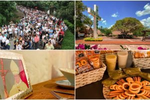 InShot_20260328_111351757