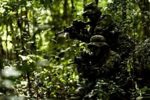 Screenshot_2026-02-27-15-38-59-44_40deb401b9ffe8e1df2f1cc5ba480b12