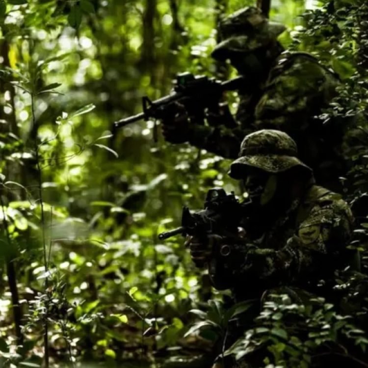 Screenshot_2026-02-27-15-38-59-44_40deb401b9ffe8e1df2f1cc5ba480b12