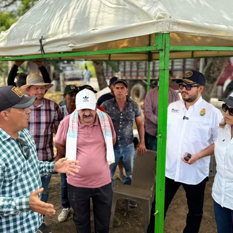 Gobernadora del Meta, Rafaela Cortés se reúne con productores de arroz en Puerto López / Foto: Gobernación del Meta.