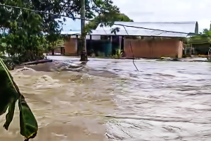 Inundaciones en viviendas y cultivos por desbordamiento del Ariari / Foto: Cortesía.