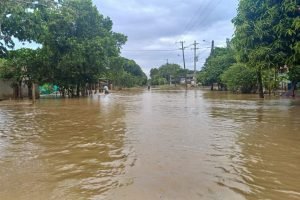 Inundaciones en Puerto Lleras / Foto: Defensa Civil Meta.