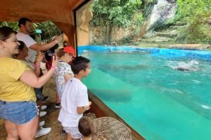 Turismo en el Meta / Foto: GobMeta.