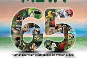 Meta celebra su aniversario número 65 / Foto: GobMeta.