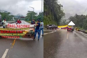 Paro arrocero en el Meta / Foto: Cortesía.