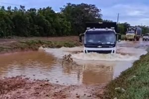 Vía Puerto Gaitán (Meta) - El Viento (Vichada) / Foto: Cortesía.