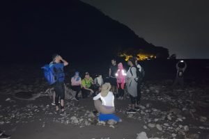 a1a6db53-2803-487f-9366-f46c8adbeb18