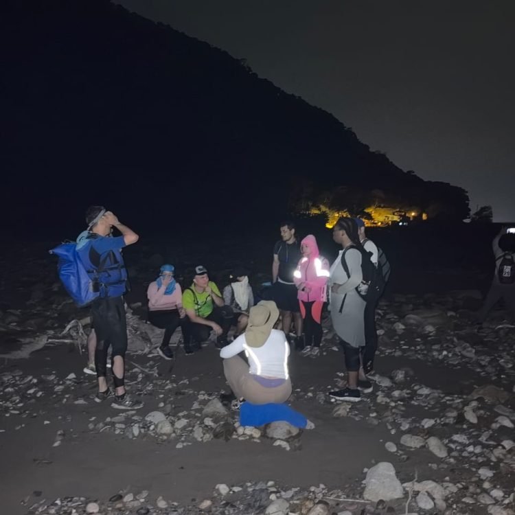 a1a6db53-2803-487f-9366-f46c8adbeb18