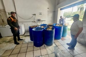 c3f9fc9e-ac57-4fc8-ad60-fd5800295296