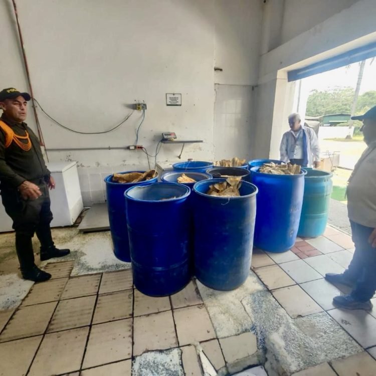 c3f9fc9e-ac57-4fc8-ad60-fd5800295296