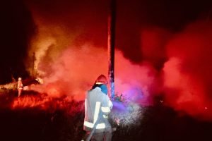 d28af81e-d320-47ea-b1b8-89349b7da09f