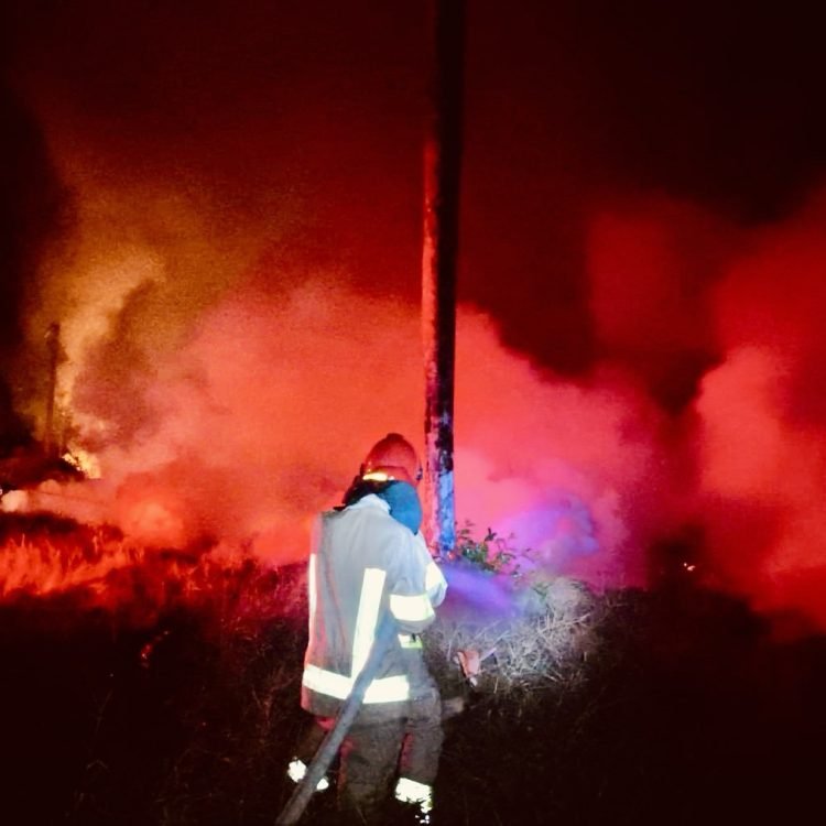 d28af81e-d320-47ea-b1b8-89349b7da09f