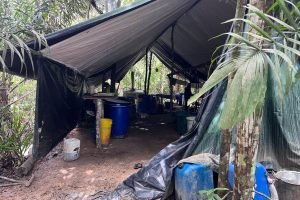 Complejo ilegal / Foto. Ejército Nacional.