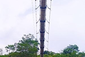 ed9e121a-5136-46ca-8c90-4ab707cc8fe7