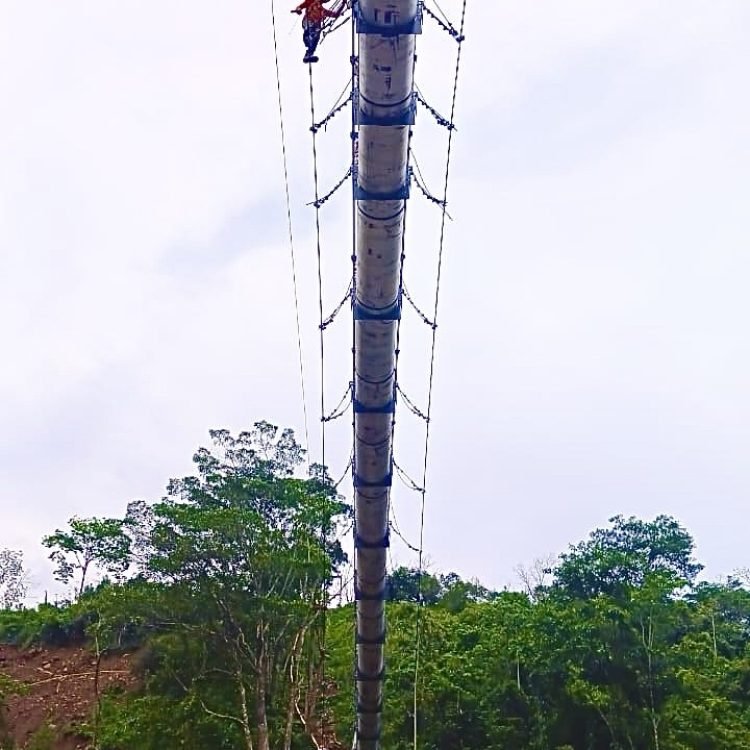 ed9e121a-5136-46ca-8c90-4ab707cc8fe7