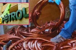 f9377b29-6ad6-4560-b377-34c56772b789